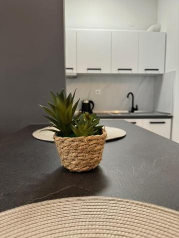Damian'S Cozy Pool Apartment Peraía Zewnętrze zdjęcie